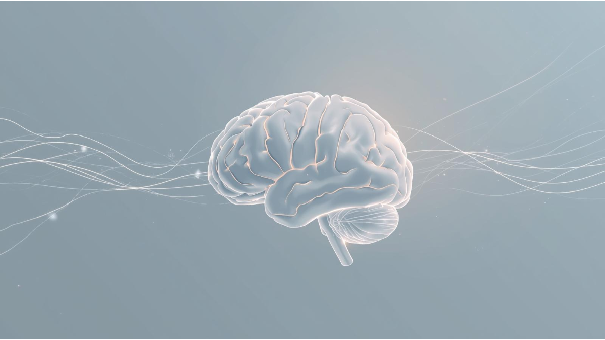 mindset science showing how beliefs shape thinking patterns